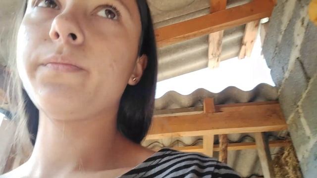 26.09.2023 / VLOG MY DAY / ВЛОГ МОЙ ДЕНЬ НА КОНЮШНЕ / ДЕНЬ РАБОТНИЦЫ КОНЮШНИ смотреть онлайн