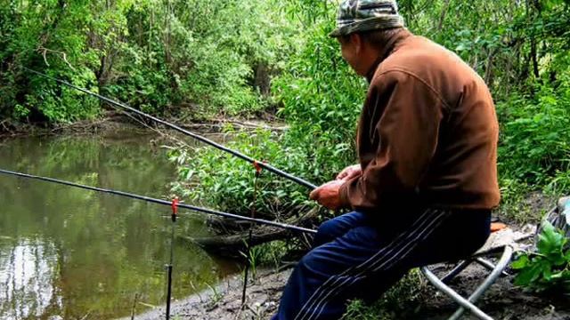 Весенняя прогулка по Нижней Ведуге смотреть онлайн
