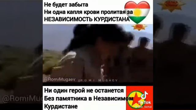 Курды мы на 1 месте были и будем 🇹🇯🇹🇯🇹🇯🤘 смотреть онлайн