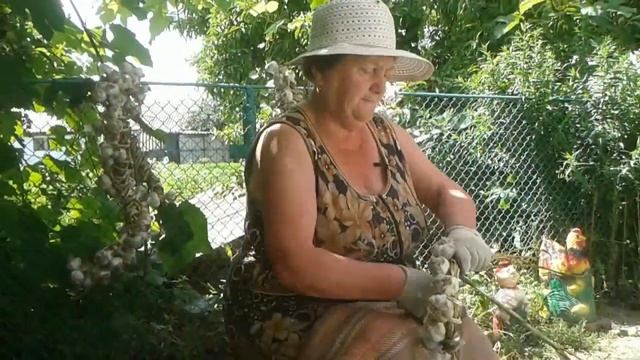 Как плести чеснок смотреть онлайн