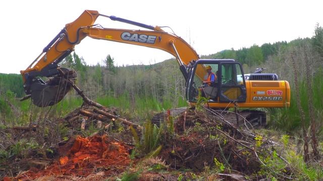 Блиппи изучает автобус - Блиппи на Русском - Изучай этот Мир вместе с Блиппи - Blippi