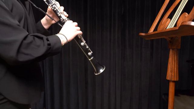 Sutermeister - Capriccio for Solo Clarinet 14 смотреть онлайн