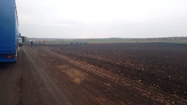 Полив в питомнике рулонного газона смотреть онлайн