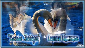 Сергей Одинцов - Белые лебеди