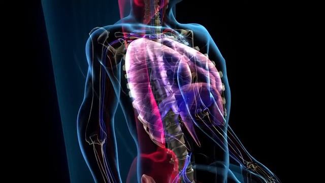 Тренажер для осанки в виде устройства для опоры при сидении «Спинатор» смотреть онлайн