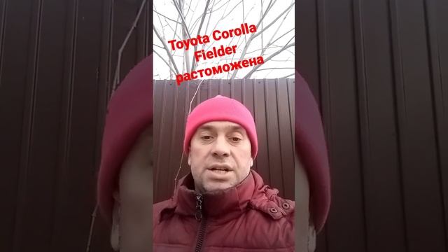 Toyota Corolla Fielder 2019 РАСТОМОЖЕНА смотреть онлайн