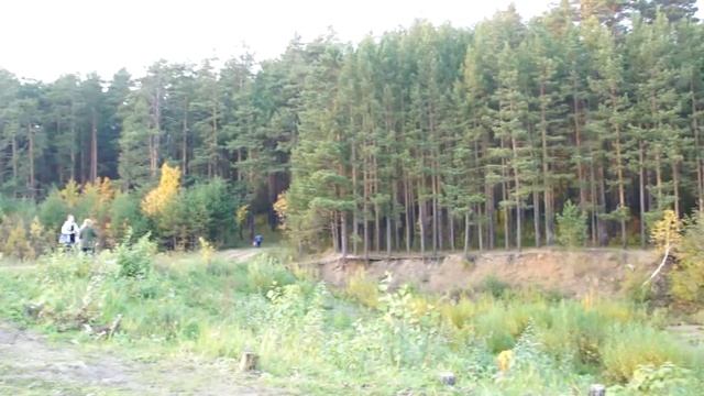Озеро. Свердловская область, Березовский район. Золотая осень 2014. смотреть онлайн