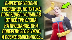 Услышав эти три слова директор онемел, ведь уволенная уборщица оказалась права...