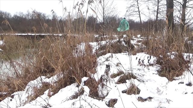 Рыбалка на реке на поплавок на ельца в ноябре! и заброс жерлиц... смотреть онлайн