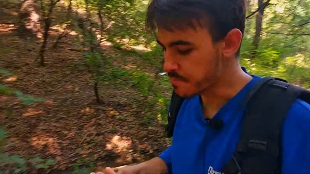 Амазонка - борьба за жизнь | Выживание в тропическом лесу смотреть онлайн