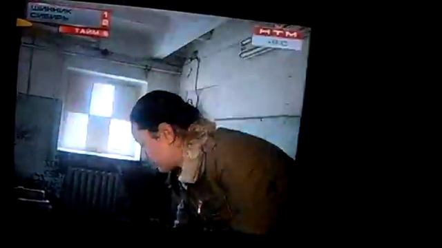 Ночью из приюта Виты были украдены 5 щенков. смотреть онлайн
