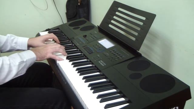 Casio WK-6600 
