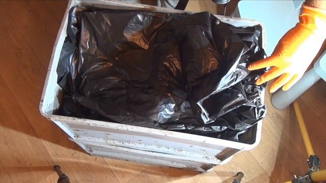 119 Кормление червя Динетта и Дендробена Венета чайной заваркой и козьим навозом прямой эфир смотреть онлайн