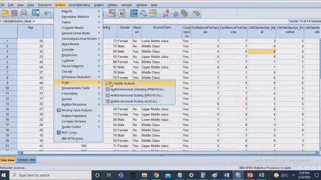 Reliability & Validity Analysis Using SPSS & Excel смотреть онлайн