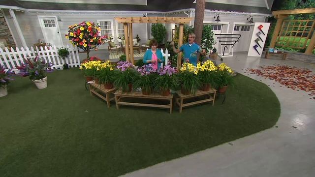 Cottage Farms 9-piece Everblooming Stella D'Oro Daylily Col. on QVC смотреть онлайн