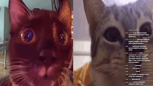 DAWG, ALISON, POOT, PIXEL_BOT - CS:GO, TrackMania Nations Forever (28.04.2022) смотреть онлайн