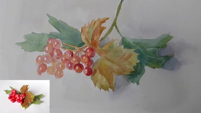 Урок № 14. Как нарисовать калину Калина акварелью. смотреть онлайн