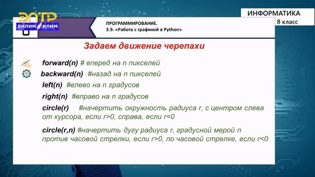 8-класс | Информатика | Работа с графикой в Python. Знакомство с модулем Turtle смотреть онлайн