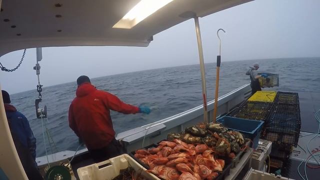 lobster'n смотреть онлайн