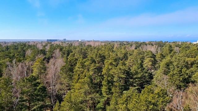 Jurmala Dzintari Forest Park 2022 #jūrmala #latvia смотреть онлайн