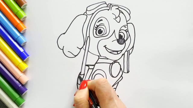 PAW Patrol/ How to draw Skye/Drawing Colouring for Kid's Child Розмальовки для дітей Щенячий патрул смотреть онлайн