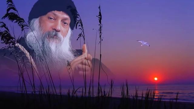 Ошо Протрезвись смотреть онлайн