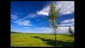 во поле берёзка стояла в лёгкой рок обработке