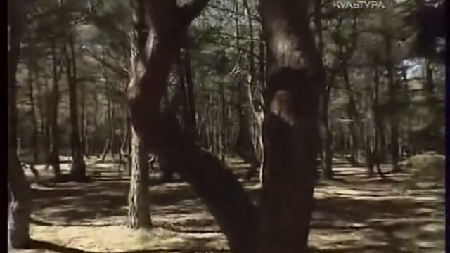 Сферы с Иннокентием Ивановым (Культура, 2008) 10 смотреть онлайн