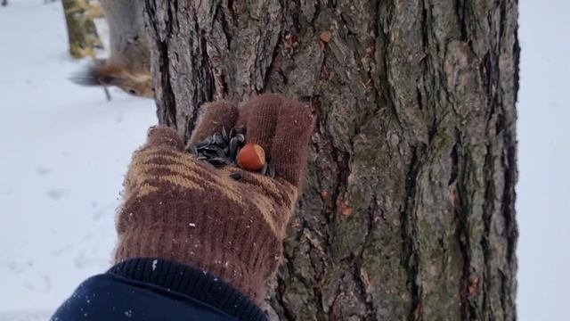 Налетай, братва! Выездная КУХНЯ приехала! смотреть онлайн