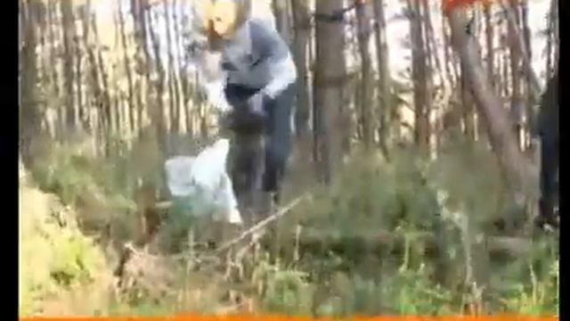 ВЫРАЩИВАЕМ ГОЛУБИКУ ПРАВИЛЬНО смотреть онлайн