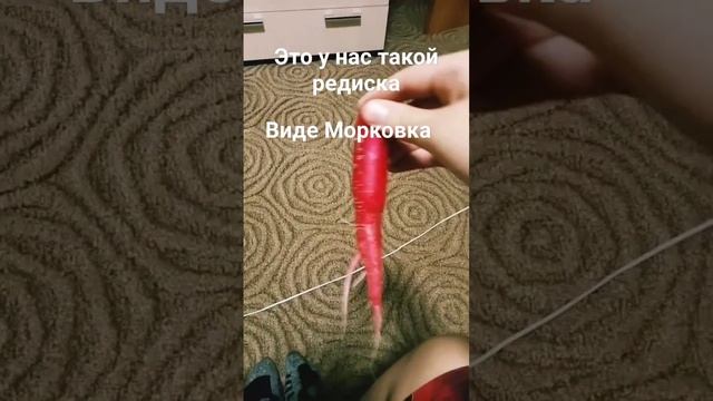 это морковь смотреть онлайн