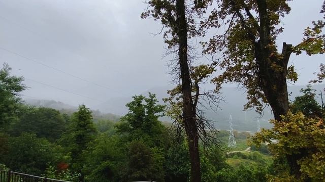 Опасность Рунических татуировок