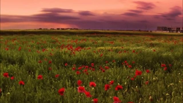 Karunesh   Zen Breakfast