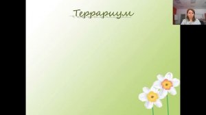 Урок по технологии «Роль комнатных растений в интерьере» преподаватель Никишева А. В.