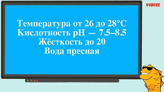 Микропецилия Пикта Живородящая Аквариумная Рыбка Содержание в аквариуме и разведение Micropoecilia смотреть онлайн
