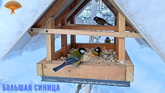 Грабли веерные Для любителей канала Грабли Лайф 01 01 2022 смотреть онлайн