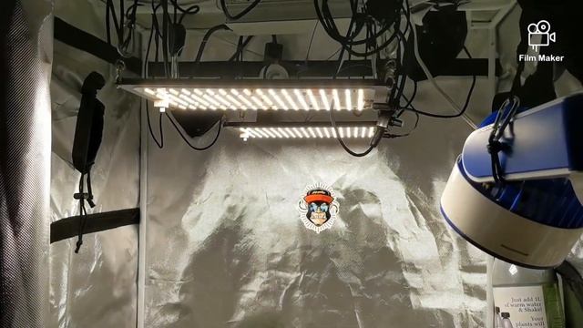 New Veg Lights!! #Enfun смотреть онлайн