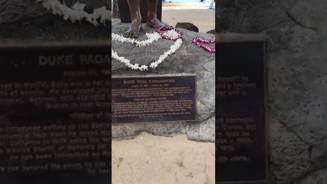 Мы уехали смотреть онлайн