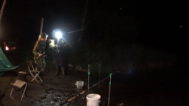 Трофейный лещ смотреть онлайн