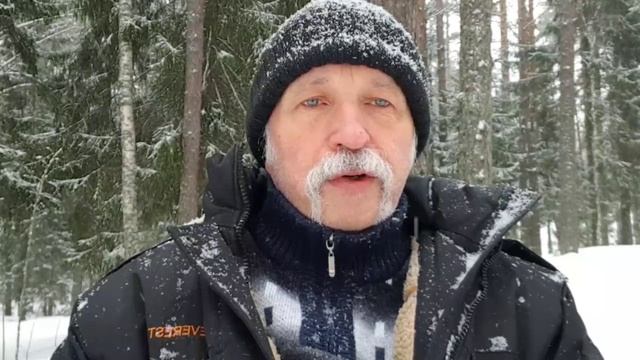 Величко М.В. смотреть онлайн