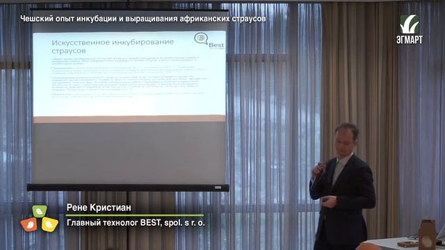 Чешский опыт инкубации и выращивания африканских страусов смотреть онлайн
