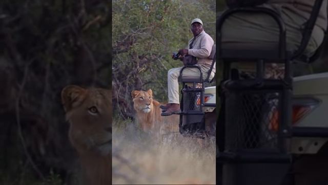 Ну здравствуй парень чернокожий! смотреть онлайн