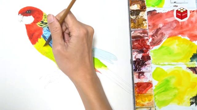 08 水彩｜ 東玫瑰鸚鵡 ｜ Watercolour Platycercus eximius Painting смотреть онлайн