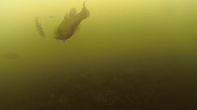 Секреты Природы