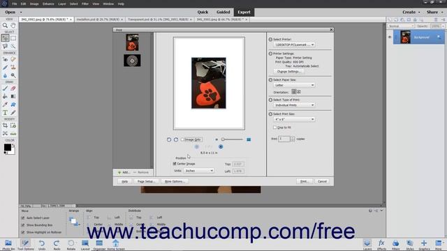 Learn How to Print Images in Adobe Photoshop Elements 2023: A Training Tutorial смотреть онлайн