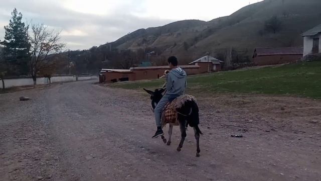 Дашти Чум.нохияи Ш.Шохин. БИДУНИ ШАРХ. смотреть онлайн