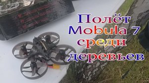 Полёт Mobula 7 среди деревьев