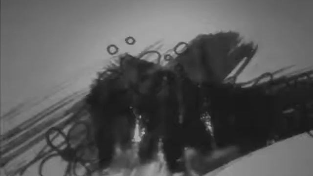 Guillaume Apollinaire: Kikericsek смотреть онлайн