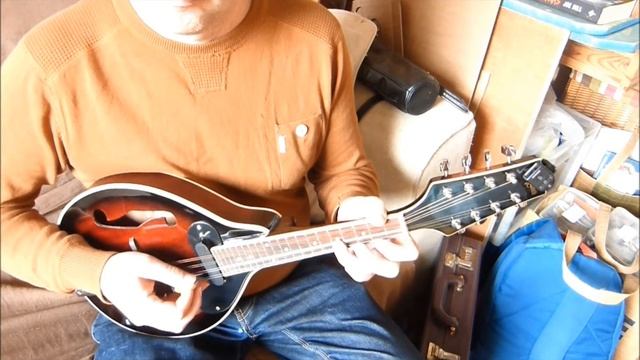 Egan's Polka on mandolin with guitar chords (Irish folk music tune) смотреть онлайн
