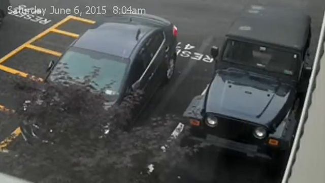 BIRD 8:04am 6-6-2015 attacks the KIA again смотреть онлайн